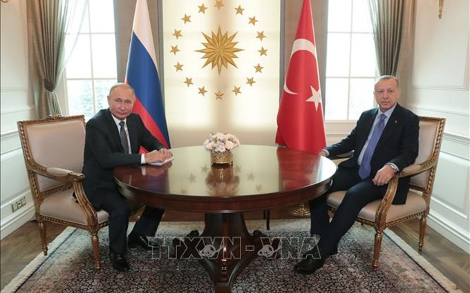 El presidente de Turquía, Tayyip Erdogan, se encuentra con su homólogo ruso Vladimir Putin. (Fotografía: VNA)