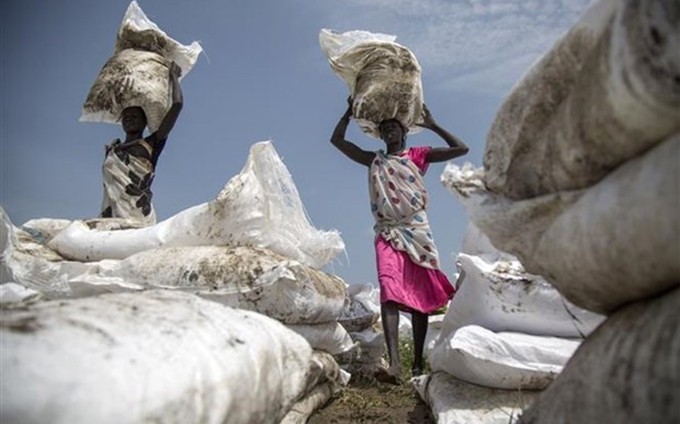 Decenas de millones de personas en todo el mundo están al borde de la inanición. (Fotografía: AFP / VNA)
