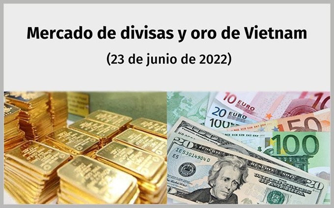 Infografía: Mercado de divisas y oro de Vietnam - 23 de junio