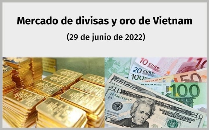 Infografía: Mercado de divisas y oro de Vietnam - 29 de junio
